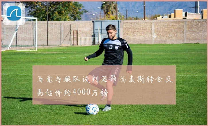 马竞与狼队谈判若昂戈麦斯转会交易估价约4000万镑